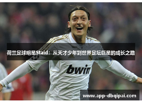 荷兰足球明星Staid：从天才少年到世界足坛巨星的成长之路