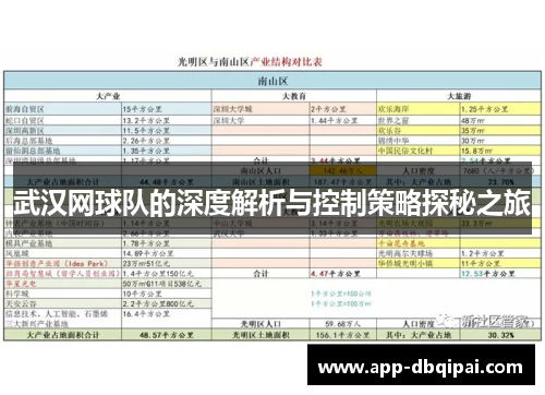 武汉网球队的深度解析与控制策略探秘之旅