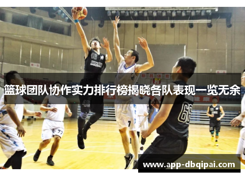 篮球团队协作实力排行榜揭晓各队表现一览无余
