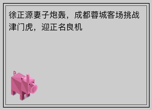 徐正源妻子炮轰，成都蓉城客场挑战津门虎，迎正名良机