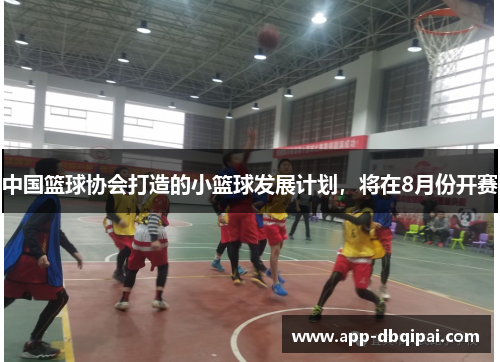 中国篮球协会打造的小篮球发展计划，将在8月份开赛